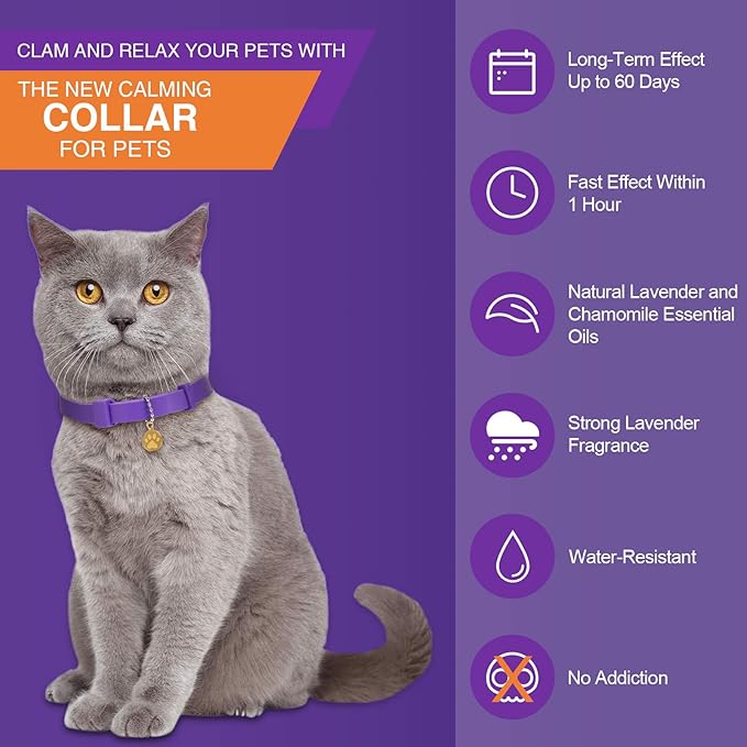 4 Pcs Cat Calming Collar Adjustable Lavender Scent Relaxing Cat Collar with 2 Pendant for Puppies Reduce Stress Aggression Anxious, up to 15 Inches(Purple, Gold)-PawvioPets