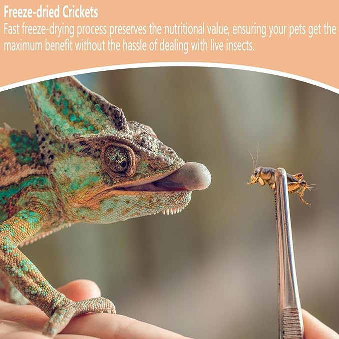 Freeze Dried Crickets – 2.8 Oz High Protein Freeze Dried Crickets, Food for Reptiles, Bearded Dragons, Lizards, Geckos, Birds, Fish,Hedgehogs, Bearded Dragon Food-PawvioPets