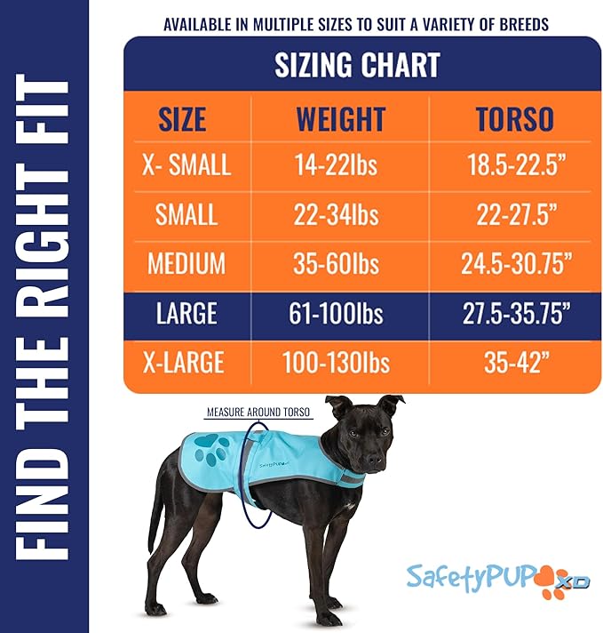 Dog Reflective Vest – Hi-Vis Fluorescent Visibility That Helps to Safeguard Your Pet On/Off Leash in Urban & Rural Areas (Teal, Large)-PawvioPets