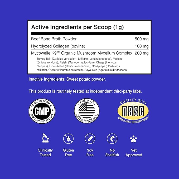 Bone Broth for Dogs – Bone Broth Powder with Organic Mushrooms & Collagen for Digestion, Immunity & Joint Support – Tasty Beef Supplement for Dogs of All Ages, Sizes & Breeds – 3.20 oz-PawvioPets