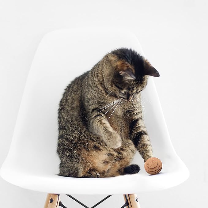 Cat Ball Toys by Americat – Made in USA – Safe Cardboard Cat Toys – for Interactive and Independent Play, Exercise & Stress Relief for All Breeds & Ages (Variety Pack of 3 Balls)-PawvioPets