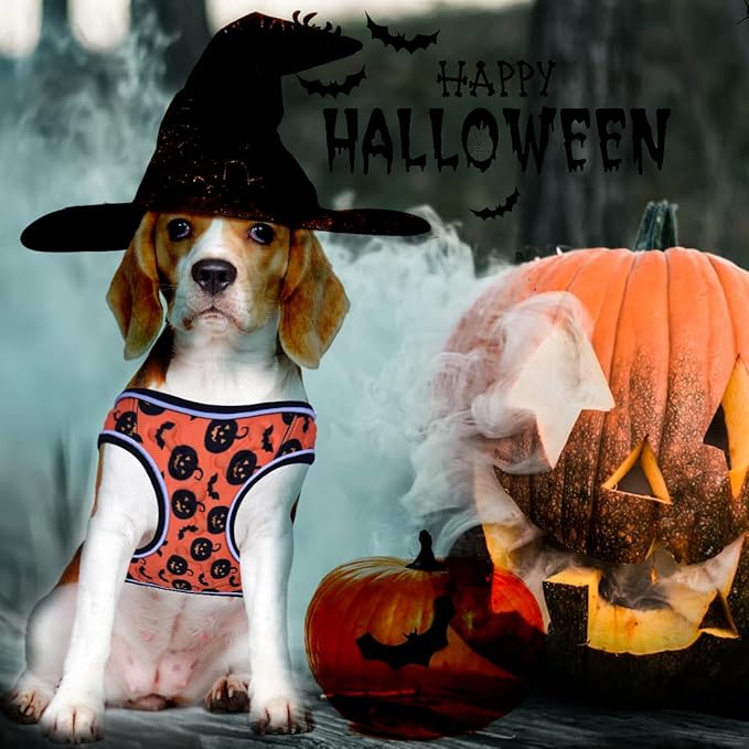 Comfort Fit Dog Harness – Adjustable No-Pull Vest for Small, Medium & Large Dogs – Soft Padded Step-in Design for Easy Control – Ideal for Walking, Running & Training – All-Weather Premium Dog Vest-PawvioPets