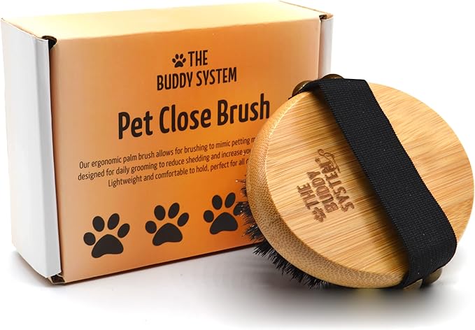 The Buddy System Pet Close Brush, Soft Touch Oval Palm Brush - Bamboo Massage Handheld with Soft Boar Bristles and Elastic Band for Dogs and Cats-PawvioPets