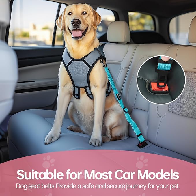 3 Pack Thickened Adjustable Dog Car Harness, Retractable Dog Car Harness Adjustable Dog Seat Belt for Car, Dog Car Leash Made of Thickened Nylon Material and Reinforced Metal Hook, Light Blue-PawvioPets