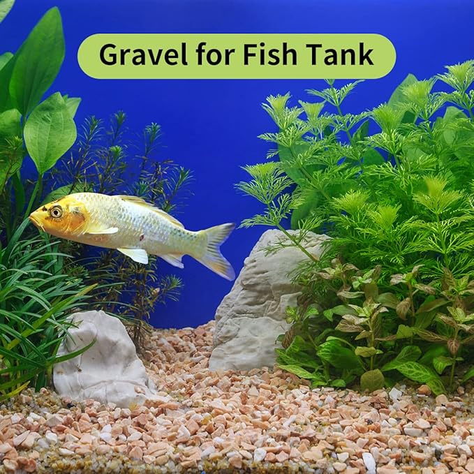 2 lb Natural Pea Gravel Small Pebbles - 3/8 Inch Pebbles for Indoor Plants, Succulents Rocks, Fish Tank Gravel, Terrarium Rocks and Patio Paver Decorative Stones-PawvioPets