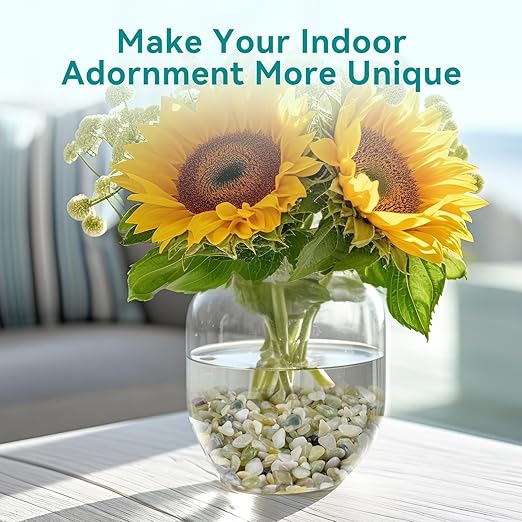 2.5 lbs Jade Pebbles for Indoor Plants, 1/5 Inch Succulent and Cactus Pebbles, Decorative Gravel for Vases, Bamboo,Terrarium, Crafts, Cactus-PawvioPets