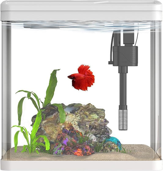 2 Gallon Glass Betta Fish Tank，Small Fish Tank with Filter and Light,Self-Cleaning Fish Tank.-PawvioPets