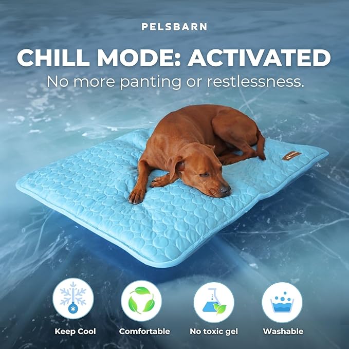 Dog Cooling Mat- Ice Silk Summer Comfort, Self Cooling, Non-Slip Dog Pad, Durable & Washable, Mat for Medium Dogs 50x65 cm, Support Shelter Dogs with Every Purchase (Blue)-PawvioPets