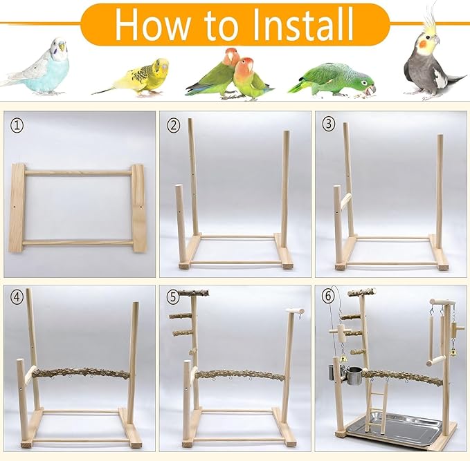 Bird Playground Parrot Playstand Bird Perch Stand Gym Natural Wood Play Stand with Swing Ladder Feeder Cups for Parakeets Cockatiels Lovebirds Conures Budgies-PawvioPets