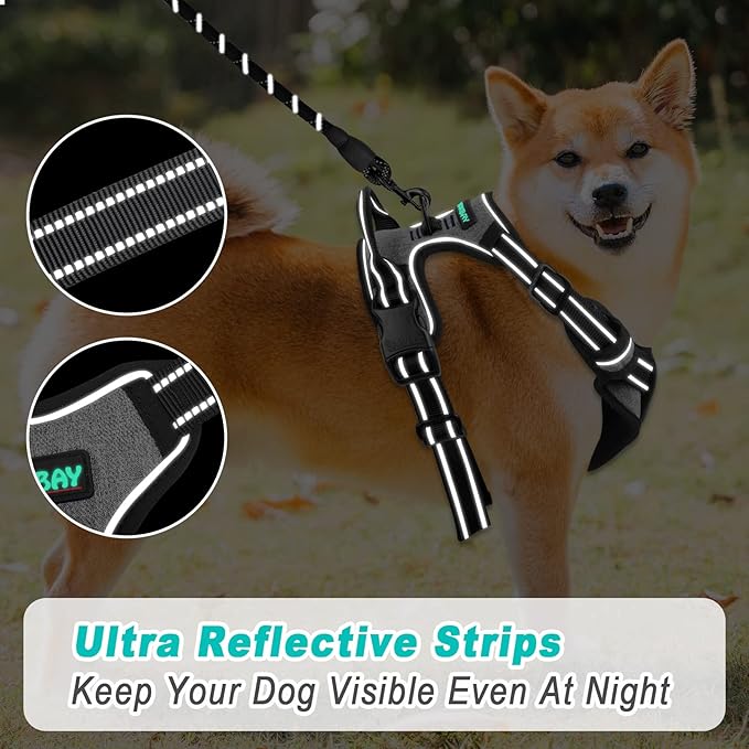 BARKBAY No Pull Dog Harness Large Step in Reflective Dog Harness with Front Clip and Easy Control Handle for Walking Training Running(Flint Gray,L)-PawvioPets