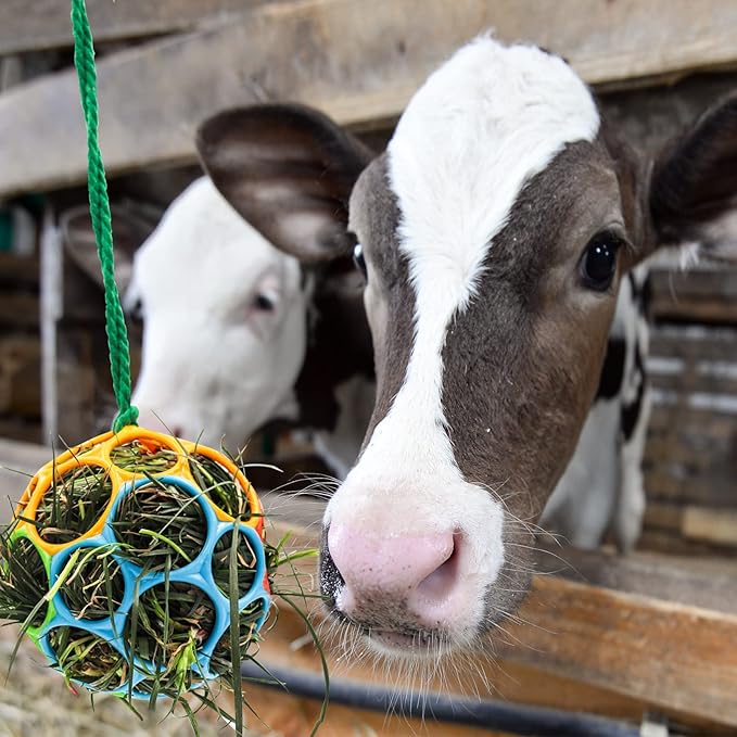 Besimple 2 Pack Horse Treat Ball Hay Feeder Toy, Goat Feeder Ball Hanging Feeding Toy for Horse Goat Sheep Relieve Stress (Colorful)-PawvioPets