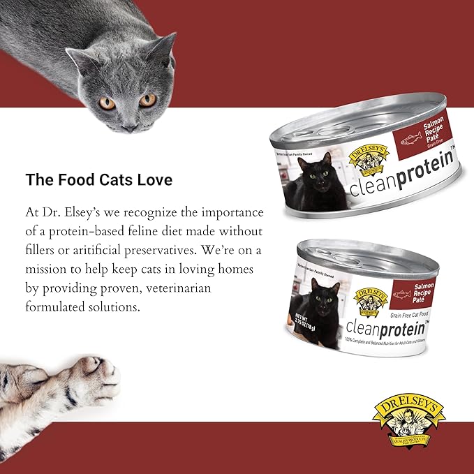 Dr. Elsey's cleanprotein Salmon Recipe Wet Cat Food, Pate 5.3 oz cans (Pack of 24)-PawvioPets