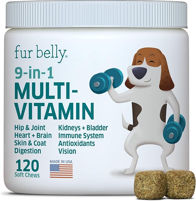 Dog Multivitamin - Dog Vitamins and Supplements - Digestive Enzymes & Probiotics - Probiotics for Dogs - for Skin and Coat Allergies - Immune System & Overall Health - 120 Soft Chew Dog Treats-PawvioPets