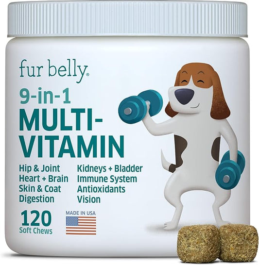 Dog Multivitamin - Dog Vitamins and Supplements - Digestive Enzymes & Probiotics - Probiotics for Dogs - for Skin and Coat Allergies - Immune System & Overall Health - 120 Soft Chew Dog Treats-PawvioPets