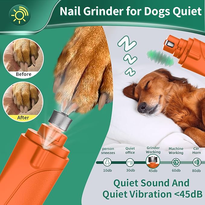 2-in-1 Cat Nail Clippers & Dog Nail Clippers Trimmers for Large Medium Small Dogs Cats Claw Trimmer Quick Sensor and Safety Guard USB Rechargeable with 2 LED Lights Dogs Nail Trimmer-PawvioPets