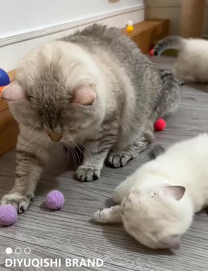 15-Pack Cat Toy Variety for Indoor Cats, Jumping for Joy (1.5'' - 3.7'', Cat Toys Mega Set)-PawvioPets