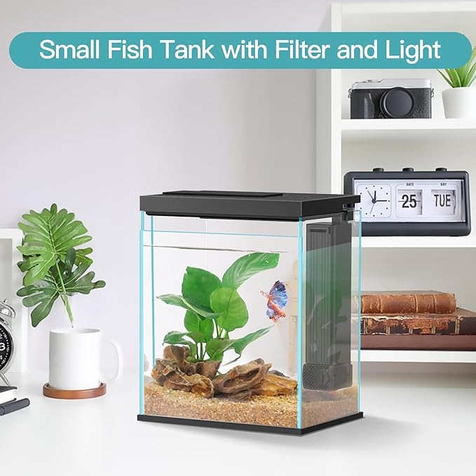 Betta Fish Tank, 2 Gallon Glass Aquarium Starter Kit, Small Fish Tank with Filter and Light.(Black)-PawvioPets