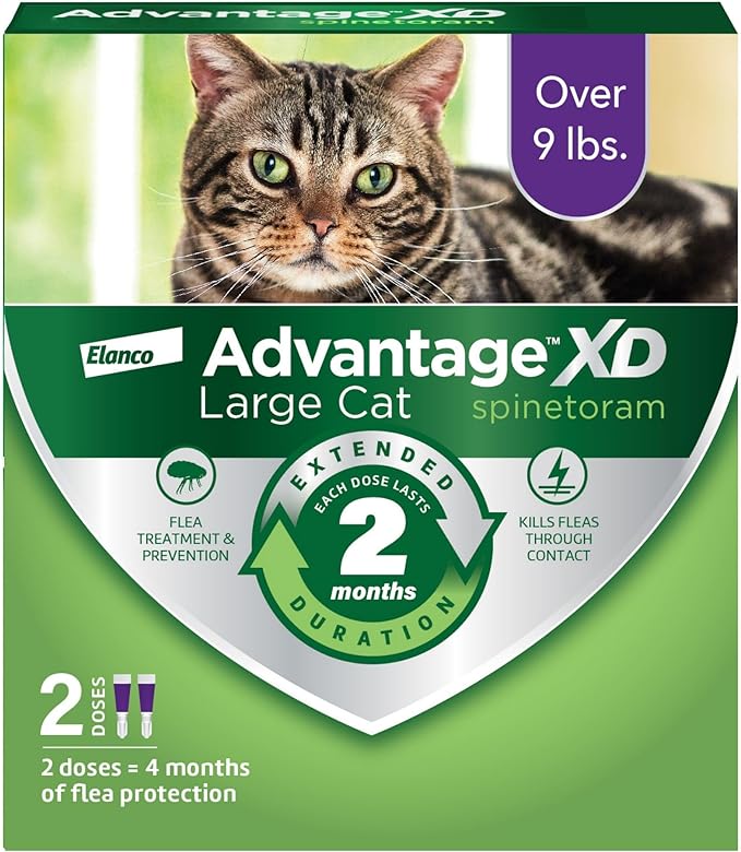 Advantage XD Large Cat Flea Prevention & Treatment For Cats over 9lbs. | 2-Topical Doses, 2-Months of Protection Per Dose-PawvioPets
