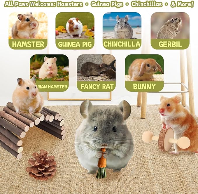 18 PCS Hamster Chew Toys Set, Natural Apple Wood Guinea Pig Toys, Hamster Cage Accessories Include Bridge, Seesaw, Carrot, Timothy Straw Stick Dental Care for Rat Gerbil Chinchilla Rabbits-PawvioPets