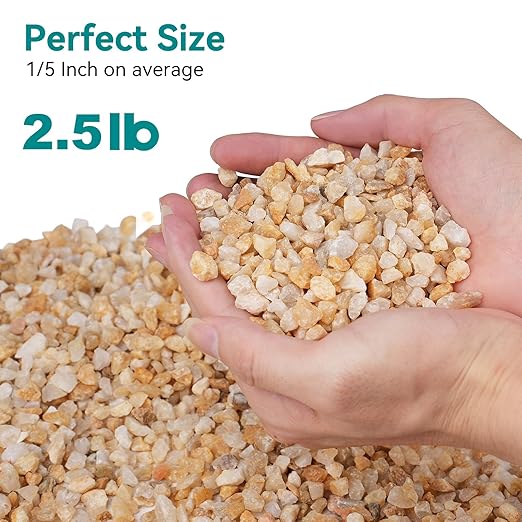 2.5 lbs Coarse Sand for Plants, 1/5 Inch Horticultural Sand for Vases, Aquariums, Terrarium, Fish Tank, Drainage Rocks for Potted Plants, Bamboo, Succulent, Crafts, Cactus-PawvioPets