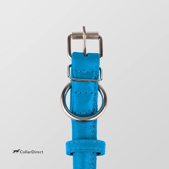 CollarDirect Rolled Leather Dog Collar, Soft Padded Round Puppy Collar, Handmade Genuine Leather Collar Dog Small Large Cat Collars 13 Colors (8-11 Inch, Light Blue Textured)-PawvioPets