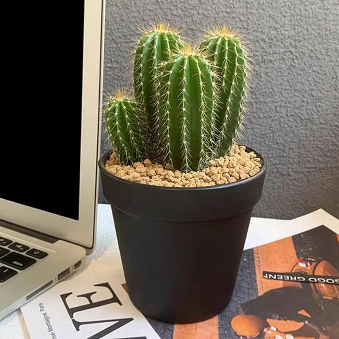 2 lbs Maifanitum Stones for Succulent,1/4 Inch Decorative Rocks for Indoor Plants, Bonsai, Soil Cover. Small Stone of Lightweight for Promote Soil Root Growth, Water Drainage and Plant Growth-PawvioPets