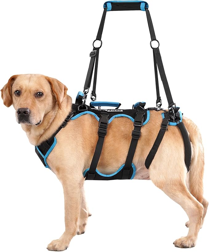Dog Lift Harness for Medium Male Dogs Friendly, 2 in 1 Detachable Support Harness, Full Body Dog Carrying with 4 Handles for Old/Disabled/Joint Injuries Dogs (Black, Medium)-PawvioPets