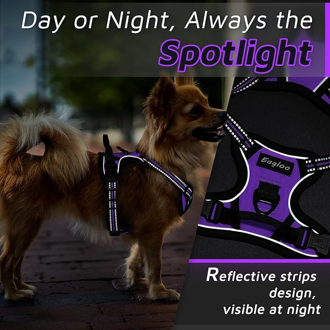 Eagloo Small Dog Harness No Pull, Service Vest with Reflective Strips and Control Handle, Adjustable and Comfortable for Easy Walking, No Choke Pet Harness with 2 Metal Rings, Purple, XS-PawvioPets