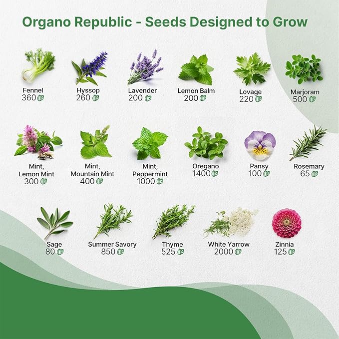 35 Medicinal & Tea Herb Seeds Variety Pack for Indoor & Outdoors. 16,335+ Non-GMO Heirloom Garden Seeds: Anise, Bergamot, Borage, Cilantro, Chamomile, Dandelion, Rosemary Seeds & More-PawvioPets