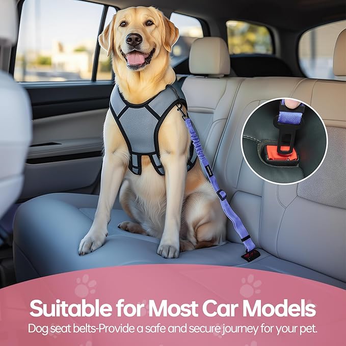 3 Pack Thickened Dog Seat Belt, Set Retractable Dog Car Adjustable Seatbelts for Vehicle Nylon Pet Safety Heavy Duty & Elastic & Durable Car Harness for Dogs, Blue-PawvioPets