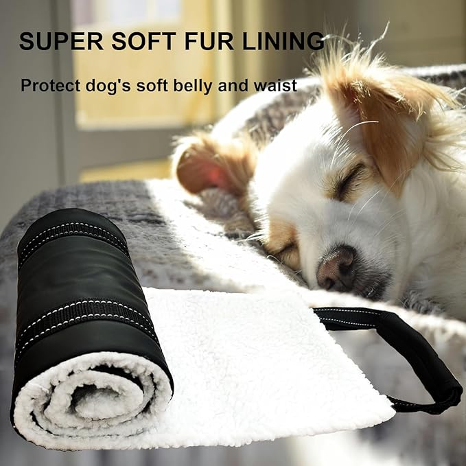 Dog Lift Harness - Adjustable Sling for Rear Legs with Soft Support for Senior, Injured, Disabled Dogs After ACL Surgery - Helping Pets with Canine Aid and Rehab Support (M)-PawvioPets