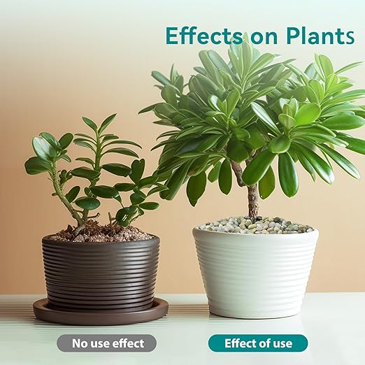 5 lbs Jade Pebbles for Indoor Plants, 3/8" Plant Rocks for Pots Indoor, Decorative Small Stones for Plants, Bamboo,Vase, Succulent, Highly Polished Small River Rocks-PawvioPets