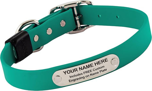 Biothane Custom Dog Collar – Waterproof, Stink-Proof Personalized Collar with Name & Phone Number – Durable, Many Sizes and Colors – Assembled in USA – Assembled in USA (Teal)-PawvioPets