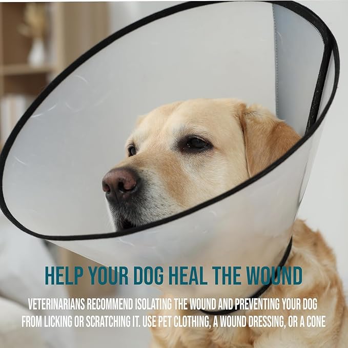 Forticept Blue Butter – Hot Spot Treatment for Dogs | Dog Wound Care | Skin Yeast Infections, Ringworm, Cuts, Rashes, First Aid Veterinary Strength Topical Ointment 4oz-PawvioPets