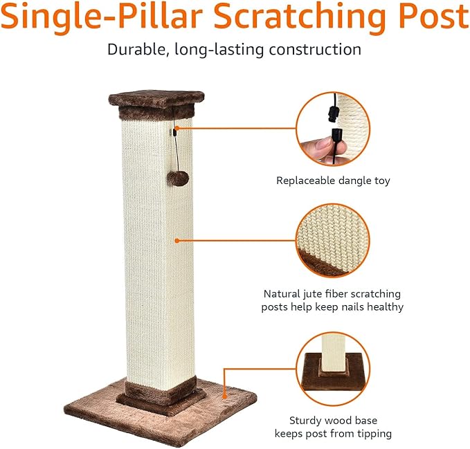 Amazon Basics Cat Scratcher - Indoor Classic Single Cat & Kittens Scratching Post with Sisal Rope, Jute Fiber, Large (35.4"H) - Brown-PawvioPets