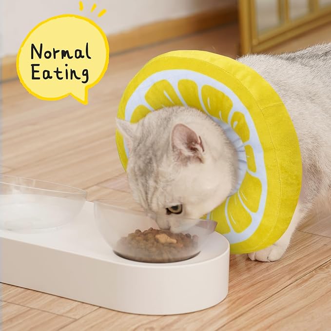 ANWA Adjustable Cat Cone Collar Soft, Cute Cat Donut Collar After Surgery, Kitten Recovery Cones to Stop Licking-PawvioPets