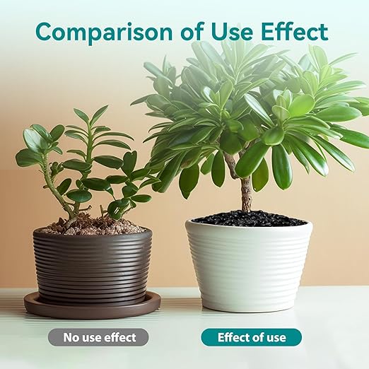 2.5 lbs Black Pebbles for Indoor Plants, 3/8" Small Rocks for Plants Indoor, Succulent, Bamboo, Vase, Decorative Black River Rocks Pea Gravel, Highly Polished-PawvioPets