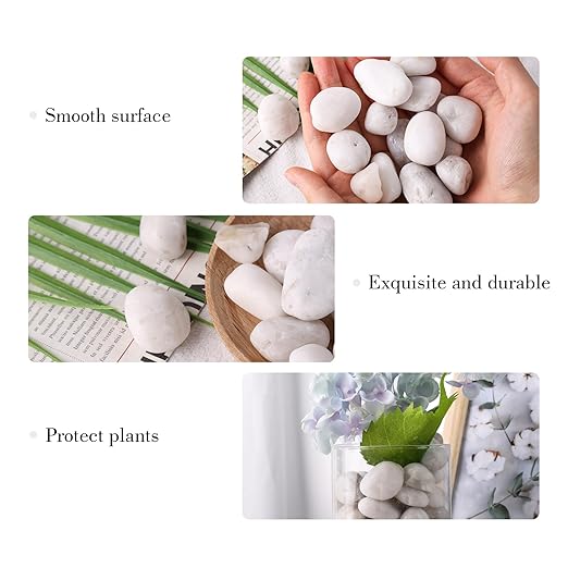 DomeStar 2.7lb White River Rocks, Polished Pebbles Decorative White Stones for Landscaping Vase Filler Fish Tank Aquariums Garden Outdoor and Indoor DIY-PawvioPets