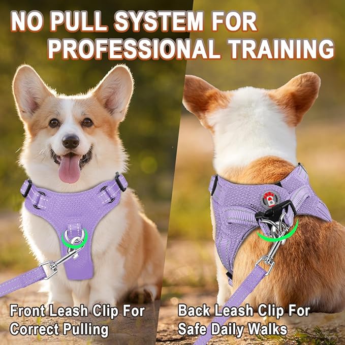 Dog Harness Step in Dog Vest Harness, Reflective Adjustable Puppy No Pull Harness Breathable Soft for Small and Medium Dogs Cats, Violet Purple, XS-PawvioPets