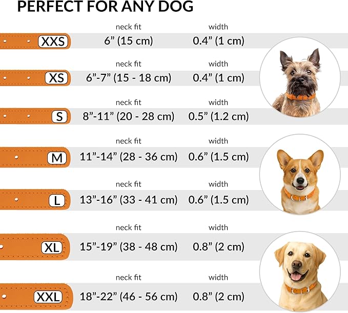 CollarDirect Rolled Leather Dog Collar, Soft Padded Round Puppy Collar, Handmade Genuine Leather Collar Dog Small Large Cat Collars 13 Colors (13-16 Inch, Orange Textured)-PawvioPets