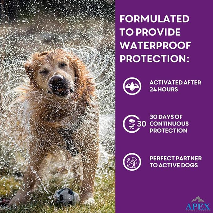Apex Plus Flea and Tick Prevention for Dogs | Large (45-88 lbs) | 6-Month Supply | Dog Flea and Tick Treatment | 24-Hour Activation, Waterproof, 30-Day Protection-PawvioPets