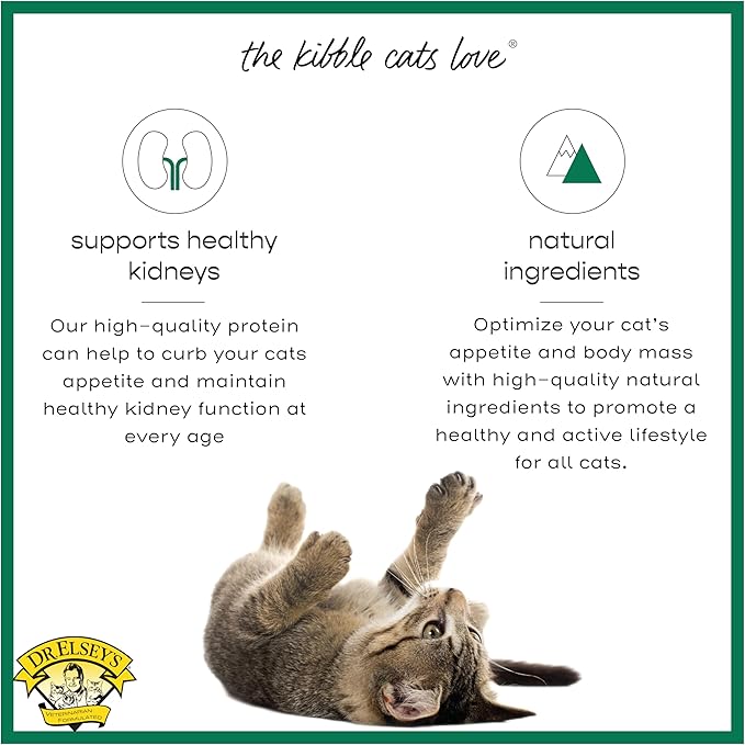 Dr. Elsey's cleanprotein Dry Kibble Duck 6.6 lb Bag-PawvioPets