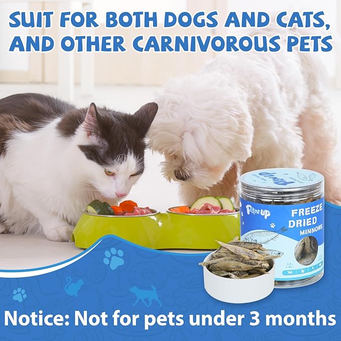 Freeze Dried Minnows Cat Treats – 100% Natural, Single-Ingredient Pet Snacks – Rich in Omega-3, Grain-Free – Healthy Training Rewards & Meal Toppers for Dogs & Cats, 2.8 oz-PawvioPets