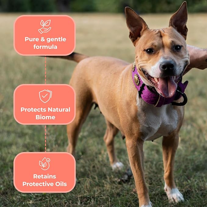 COAT DEFENSE Sensitive Dogs Shampoo | Made in USA | All-Natural Hypoallergenic - Soothes and Relieves Itchy & Dry Skin | 8 Ounces Concentrated Makes 32 Ounces-PawvioPets