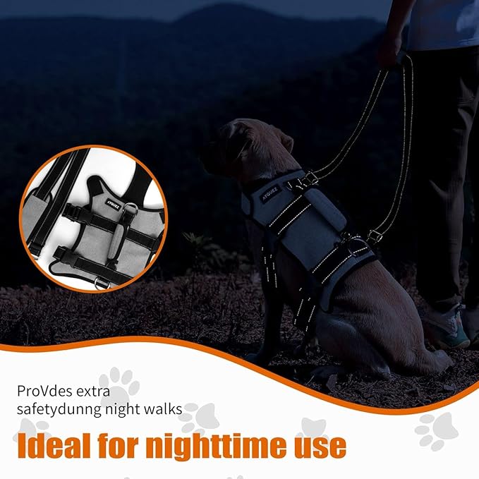 Ayquez Dog Lift Harness with Storage and Transport Bag, Dog Harness with Handle for Lifting & Hip dysplasia, arnés para Perros pequeños, pechera para Perros (Gray, XL)-PawvioPets