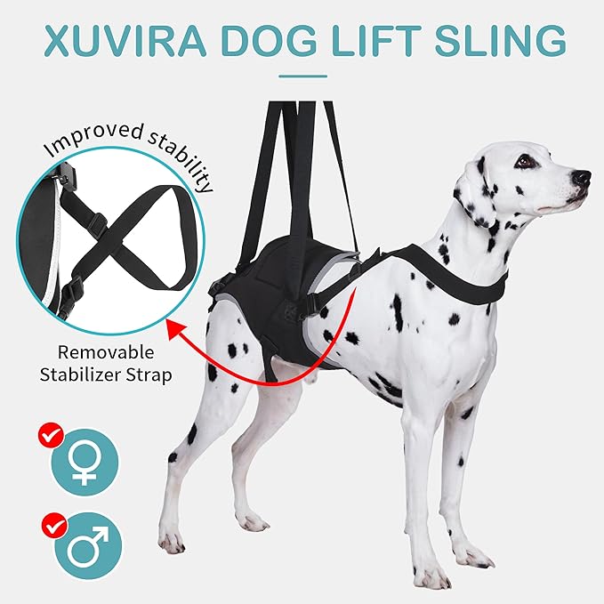 Dog Lift Harness for Large Dogs – Hind Leg Support Sling for Muscle Atrophy, Joint Pain, and Senior Pets, Adjustable Design Helps with Walking, Stairs, and Daily Mobility, L-PawvioPets