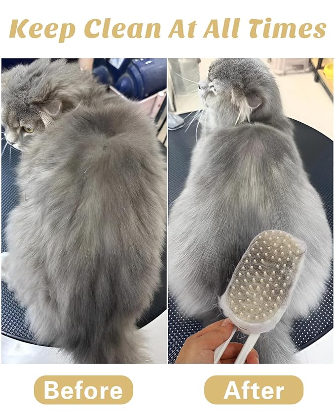 6 in 1 Cat Steam Brush for Shedding, Portable Anti-Static Grooming Comb for Cats & Dogs, Steam Misting Water Brush, Self-Cleaning Pet Hair Remover, Indoor Cat Spray Brushes for Cats & Dogs-PawvioPets