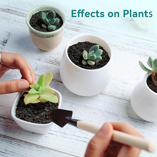 2.5lbs Small Lava Rocks for Plants Drainage, 1/5 Inch Black Gravel Mulch for House Plants, Succulent Rocks Pebbles for Planters,Cactus, Bonsai Tree, Pure Volcanic Rocks, Top-Dressing-PawvioPets