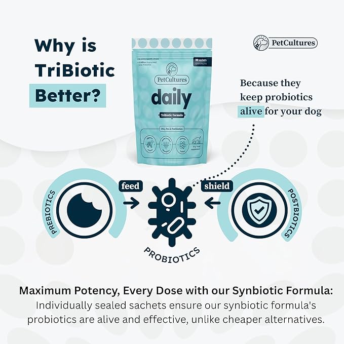 Daily Synbiotic Formula - A TriBiotic Blend with 6 Strains, B-Vitamins, and Digestive Enzymes in 30 Packs-PawvioPets