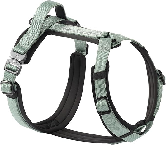 CLEPAWS Dog Harness for Medium Dogs, No Pull Dog Harness Easy Walk with Metal Hardware, Ergonomic Y-Shaped Design, Soft Padding, Padded Handle, Durable High-Tensile Nylon (Seabreeze, M)-PawvioPets